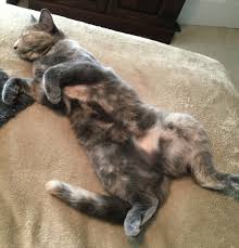 weekend free-for-all - July 16-17, 2016 - Ask a Manager