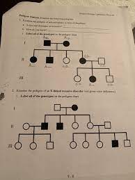 Pedigree chart activity pedigree chart enrichment. General Biology Laboratory Exercise Pedigree Chegg Com