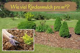 Rindenmulch ist bei hobbygärtnern beliebt, um beete abzudecken. Wieviel Rindenmulch Auftragen Menge Pro M Gartendialog De