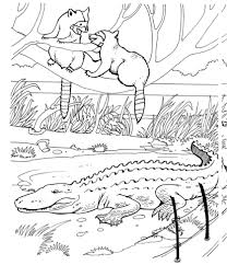 Desenho De Dois Guaxinins Em Um Zoologico Para Colorir Desenhos Para Colorir E Imprimir Gratis