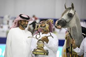 صور مقتطفة من اليوم الختامي من بطولة دبي ٢٠١٩ للجواد العربي Arabian Horse Horses Show Horses