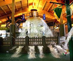 Next Stop Pinterest Water Park Indoor Waterpark Pure Michigan Travel