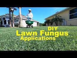 Bioadvanced Fungus Control For Lawns Home Depot How To Prevent Fungus In The Lawn Using Home Depot Products Lawn Fungus Control Youtube Yard Maintenance Diy Lawn Lawn Care