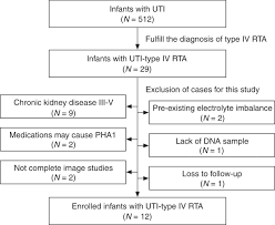 Image result for Transtubular Potassium Gradient