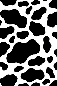 Black and white cow print iphone wallpaper. Aesthetic Cow Wallpapers Top Free Aesthetic Cow Backgrounds Wallpaperaccess