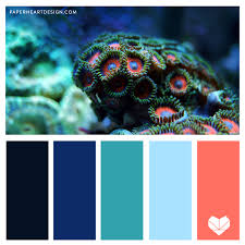 The following colors are related to. Color Palette Terrific Teal Paper Heart Design