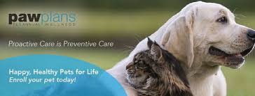 Pocket pets, birds, and reptile care; Value Pet Clinic Renton Home Facebook