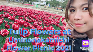 Check out our flower picnic garden selection for the very best in unique or custom, handmade pieces from our there are 1167 flower picnic garden for sale on etsy, and they cost $25.72 on average. Tulip Flowers At Uminonakamichi Flower Picnic 2021 Fukuoka Youtube