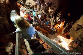 Image result for Chascanum