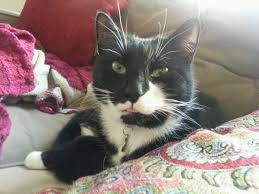 Sheri Levin (@sherbear3882)