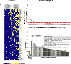 figures and data in inhibition of erbb kinase signalling