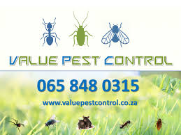 A locally owned and family operated pest control company in killeen, texas. Value Pest Control Affordable Pest Control Services In Johannesburg Kempton Park Services Public Ads 100435