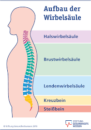Aufbau Des Ruckens Stiftung Gesundheitswissen