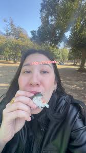 Vlog en Japón: Vacaciones y Picnic bajo las Sakuras 🌸