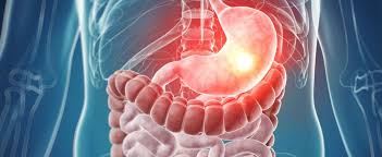 What Is Gastroenterology In 2020 Gastroenterology Bile Duct Gallbladder