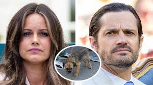 Märkliga händelsen med Carl Philips hund