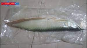 Apa arti bermimpi tentang ikan mati? Ikan Arwana Mati Akibat Kebodohan Youtube