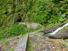 Jump to navigation jump to search. Paradies Goes Madeira Expedition Ins Wasserherz Von Madeira