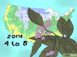 How is humanity using the earth's land? How To Understand Plant Hardiness Zones 9 Steps With Pictures