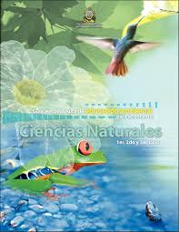 Libro de ciencias naturales 6 grado , por favor. Calameo Guia Metodologica Ciencias Naturales1 Educacion Ambiental