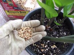 How do gnat infestations start? How To Get Rid Of Gnats In Your Home And Garden Hgtv