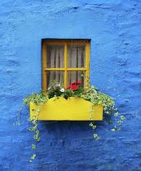 » window boxes » hanging baskets » plant pots; A Yellow Flower Box Under The Window Of A Blue House Kinsale County Cork Ireland Stock Photo Dissolve