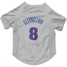 Is an american professional basketball player who last played for the detroit pistons of the national basketball. Detroit Pistons Wayne Ellington Gray Pet Jersey For Dog Cat Detroit Store