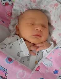 Fotogalerie: Miminka Jihočeský kraj 8. týden roku 2023