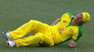 Последние твиты от david warner (@davidwarner31). David Warner Injury Fears For Australian Opener After Groin Trouble Sporting News Australia