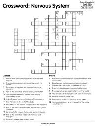 $100 off at amazon we may earn a commission for purchases using our. Full Download Nervous System Crossword Puzzle Answer Key Free Kindle Online