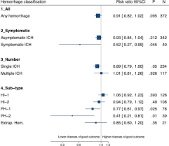 Image result for Hemorrhage Classification