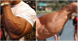What can help make them bigger. How To Get Bigger Forearms And Wrists Quora
