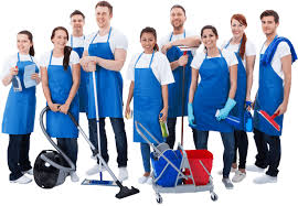 Madison Cleaners | The best local professionals in Madison | Eco Clean