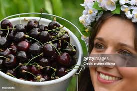 1,043 Kirschner Stock Photos, High-Res Pictures, and Images