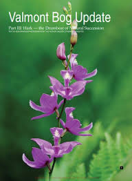 Image result for Liparis mulindana