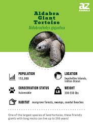 Aldabra Tortoise Care Sheet - Reptiles Magazine
