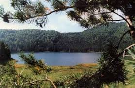 Zobacz na pełnej mapie lacul sf. Lacul Sfanta Ana Harghita Transilvania Informatii Si Galerie Imagini Hoteluri In Apropiere