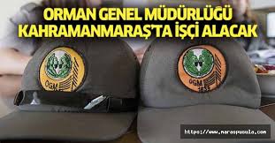 Orman genel müdürlüğü işçi alımları meslek kodlarına ve il tercihlerine göre yapılmaktadır. Qffs Nvz9mhqkm