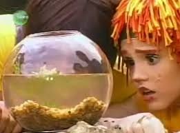 Animablog do Sítio: maio 2012