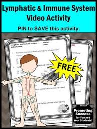 This Free Printable Lymphatic And Immune Systems Worksheet And Video Will Supplement Lymphatic System Activities Human Body Systems Teaching Human Body Systems