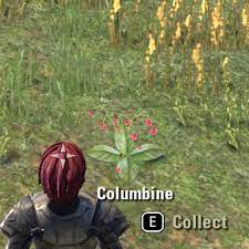 Columbine Flower Eso Best Flower Wallpaper