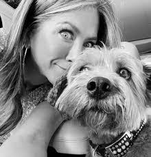 Ava Dempsey's Instagram, Twitter & Facebook