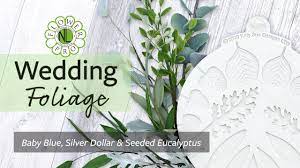Make Wedding Foliage With Flower Pro Baby Blue Silver Dollar Seeded Eucalyptus Youtube Seeded Eucalyptus Silver Dollar Foliage