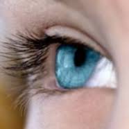 Pay your northshore eye associates bill online with doxo. North Hills Eye Associates Karlik Ophthalmology