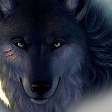 Silakan download gambar kartun keren dan lucu di bawah ini gratis. Foto Dan Wallpaper Serigala Ukuran Besar Wallpaper