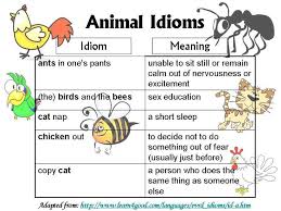 Best 10 List Of English Idioms And Their Meanings Pictures Image Gallery Idioms English Idioms Idioms And Their Meanings