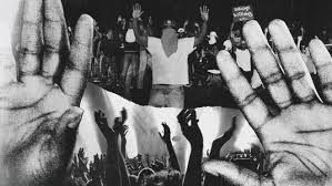 Pop music comes originally from the 50's and from rock and roll. New Album Alert 2021 Carla Morrison Alice Cooper Dierks Bentley