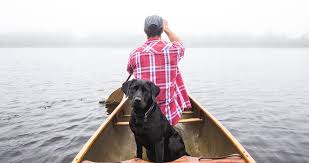 3 bedroom, 2 baths and about 1600 sq feet with fenced backyard, deck and grill. Pet Friendly Lakefront Vacation Rentals In Big Bear Ca Big Bear Cabins