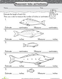 Measure A Fish Centimeters Inches 2nd Grade Math Math Measurement Everyday Math