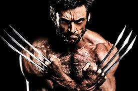 Image result for wolverine